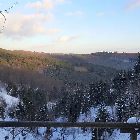 Ferienwohnung Aussicht In Neuastenberg Daire *